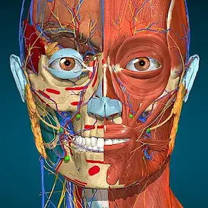 Anatomy Learning mod apk